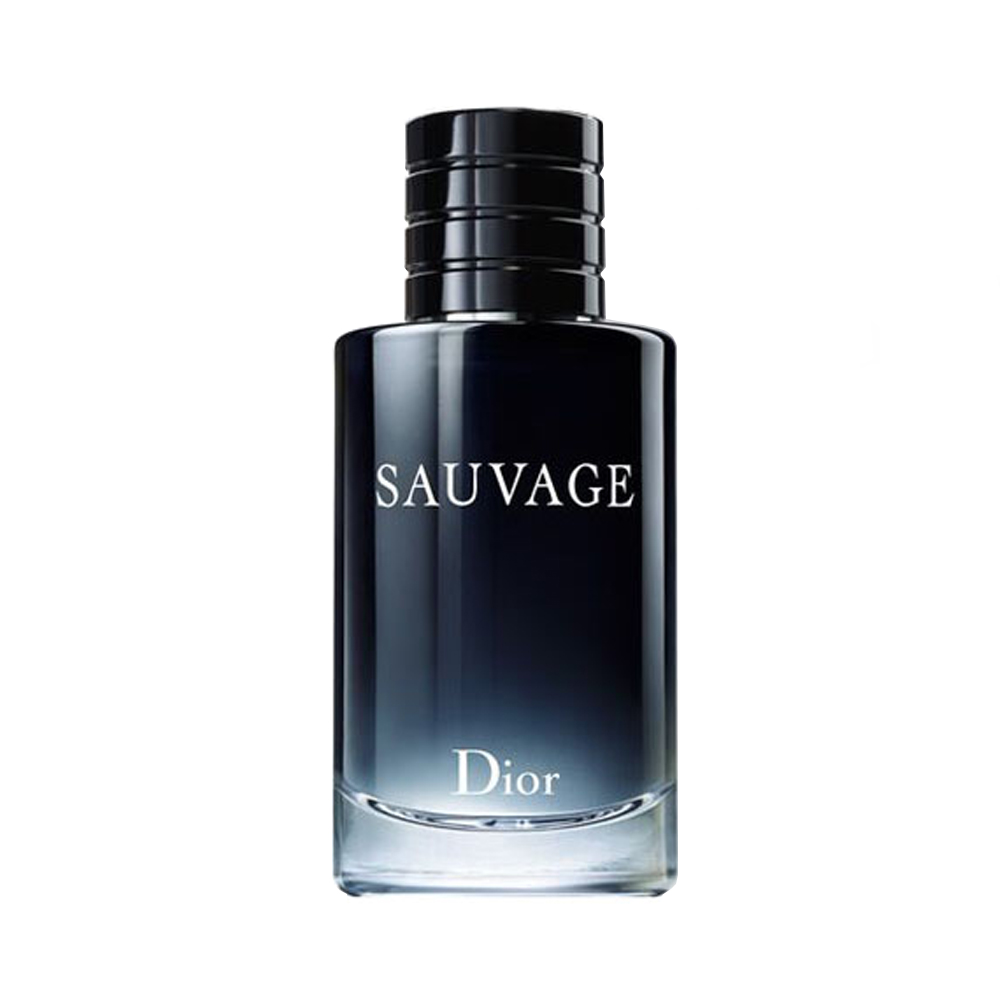 dior 100ml price