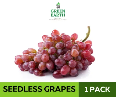 GREEN EARTH SEEDLESS GRAPES - 1 PACK