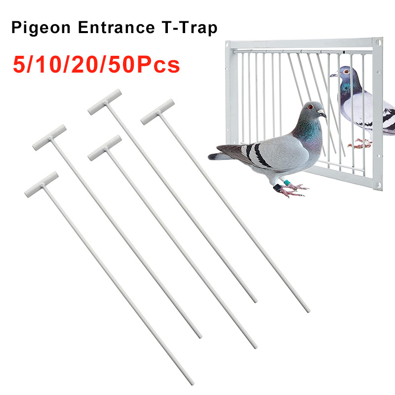 50/20/10/5Pcs Pigeon Trap Door Metal Wire TShaped Entrance OneWay
