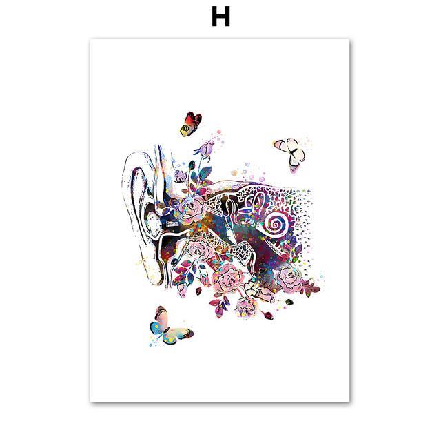 Modern Nordic Anatomy Inner Ear Audiology Cochlea Wall Art Canvas ...