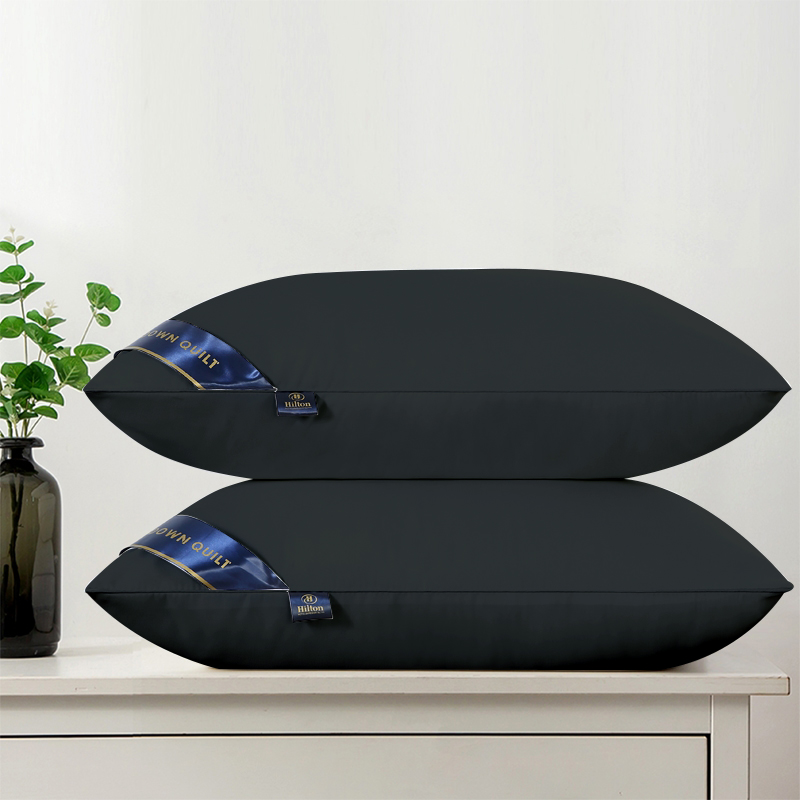 Hilton Hotel Pillow Buy 1 Take 1 Queen Size 29"×19" Bed Pillows for