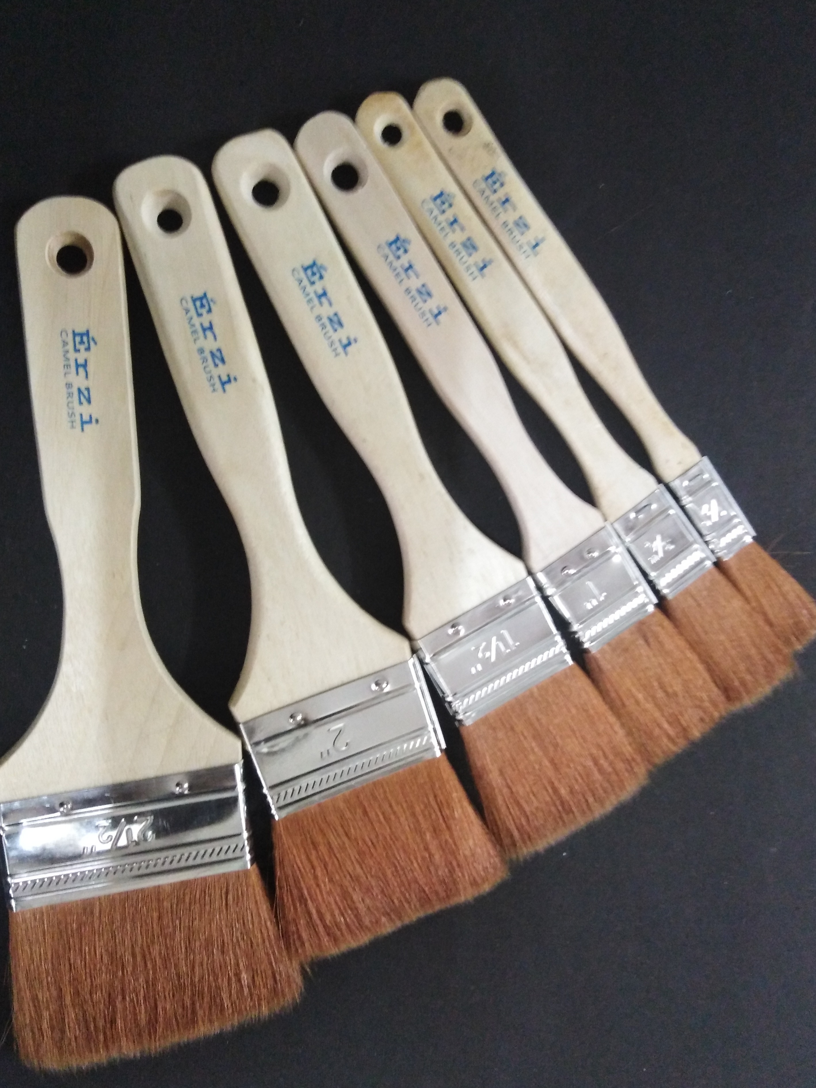 Erzi Camel Hair Paint Brush 1 SET | Lazada PH