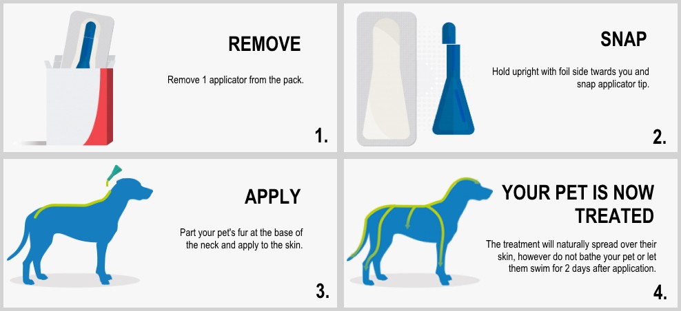 frontline and bathing your dog