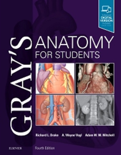 Gray's Anatomy For Students, International Edition - 9780323611046 - C ...