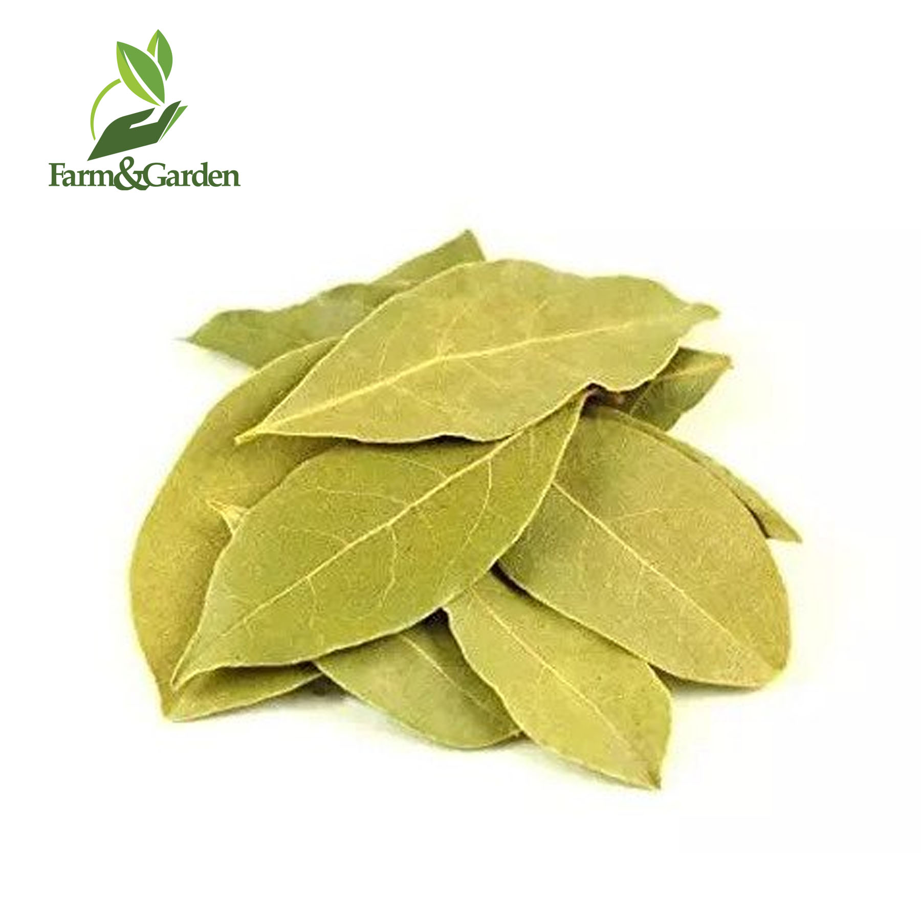 Bay Laurel Leaves 10 grams Lazada PH