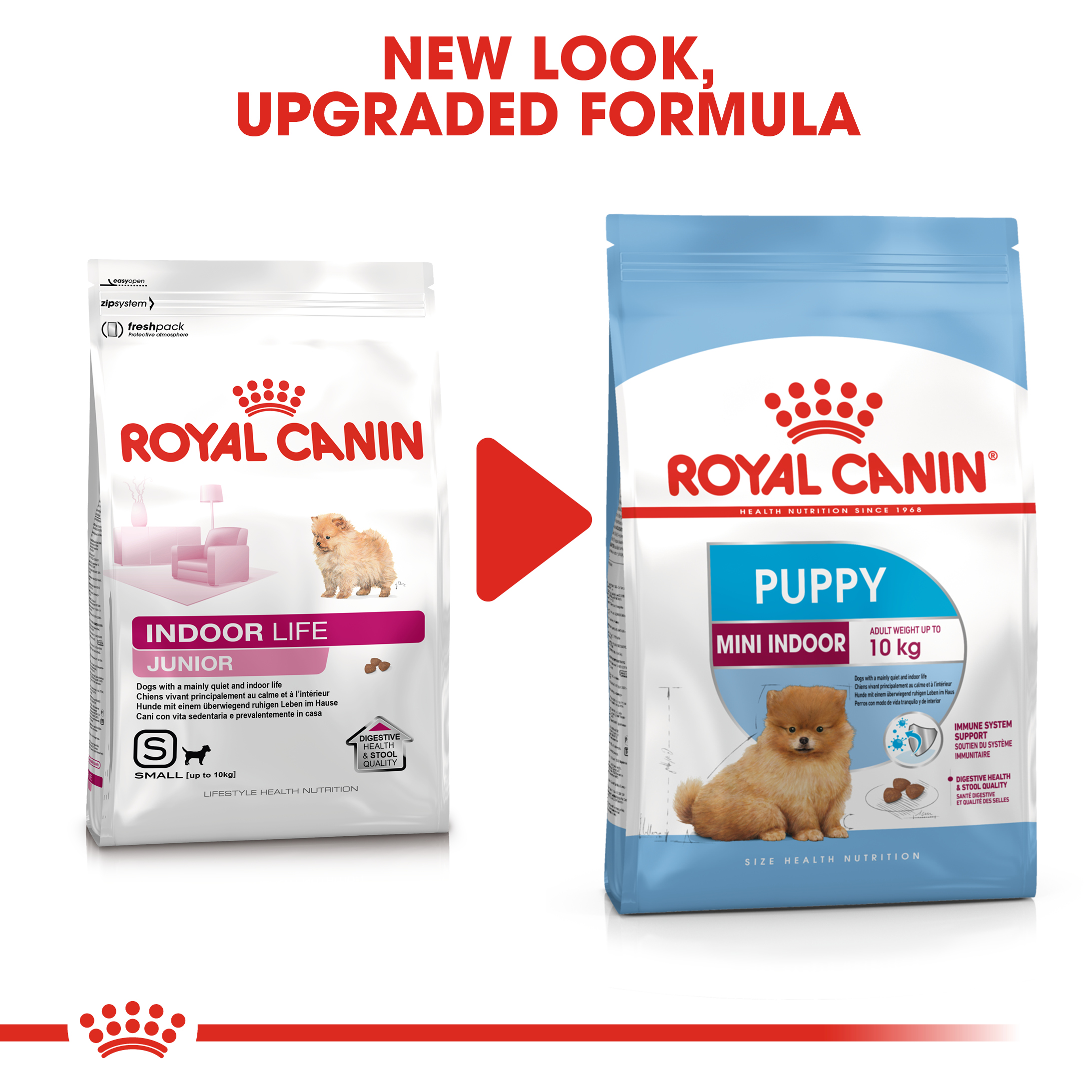 royal canin size health nutrition mini puppy dry dog food