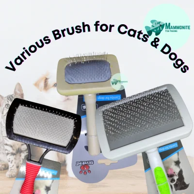 Assorted Brush for Cats and Dogs