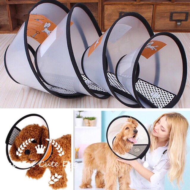 fwacc petsmart alliance adoption center