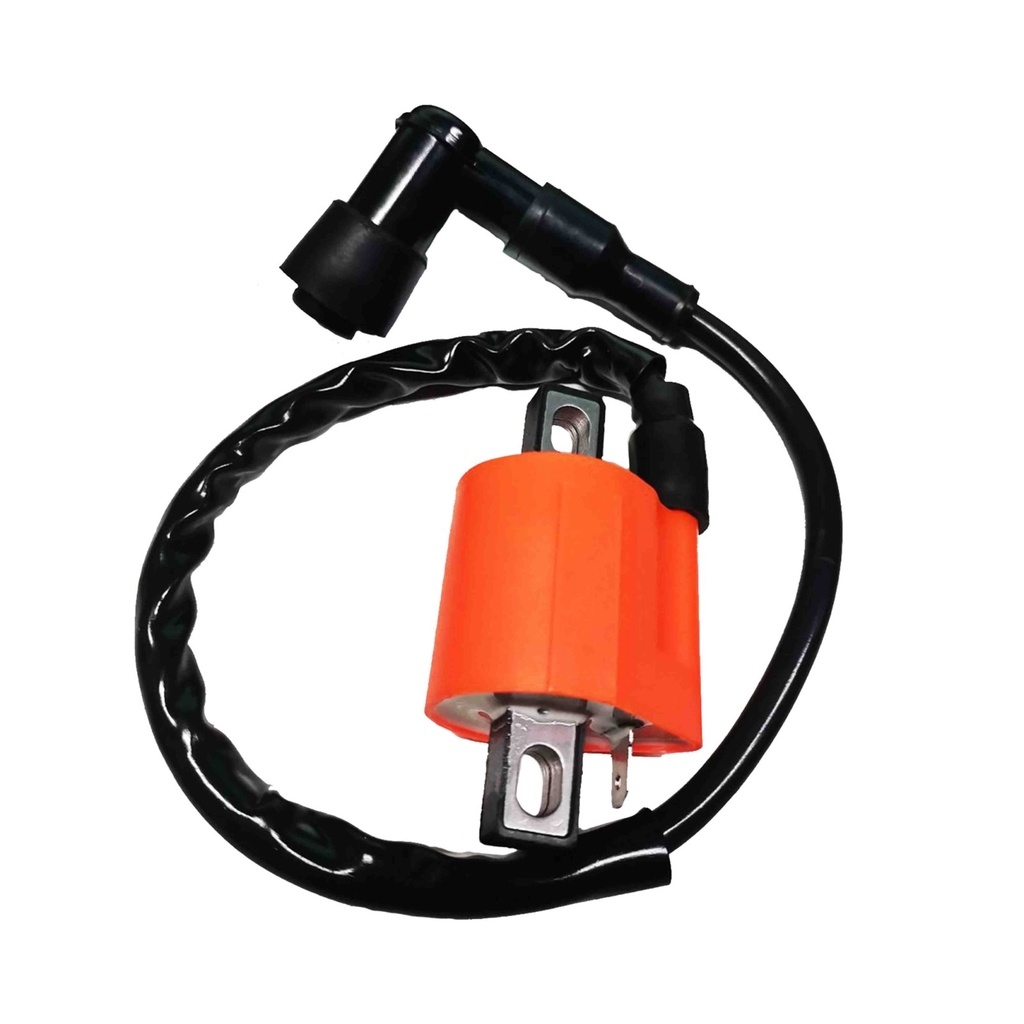 MOTORCYCLE IGNITION COIL MIO CG125 TMX 155 XRM UNIVERSAL (IGL) Lazada PH