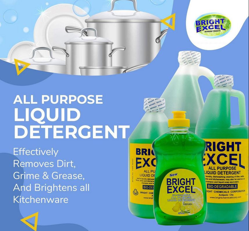 Bright Excel All Purpose Detergent 250 ml | Lazada PH