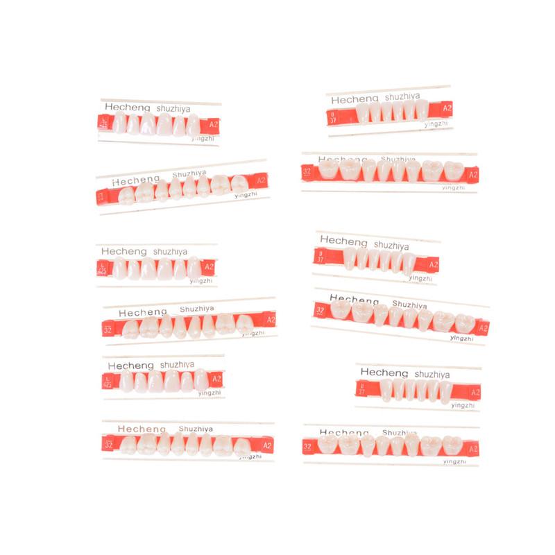 LngBo 1Box Acrylic Resin Denture Teeth Upper Lower Shade Dentures