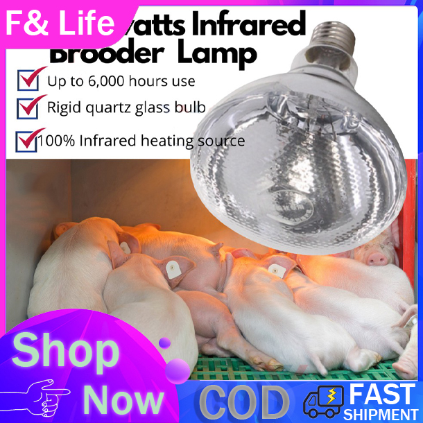 【Buy1 Take1】F&Life Infrared Heat Lamp Bulb 100 watts for animals PETS