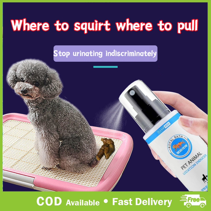 【Simple and 100 efficient】Potty Trainer for Dogs Poop tray dog Pet