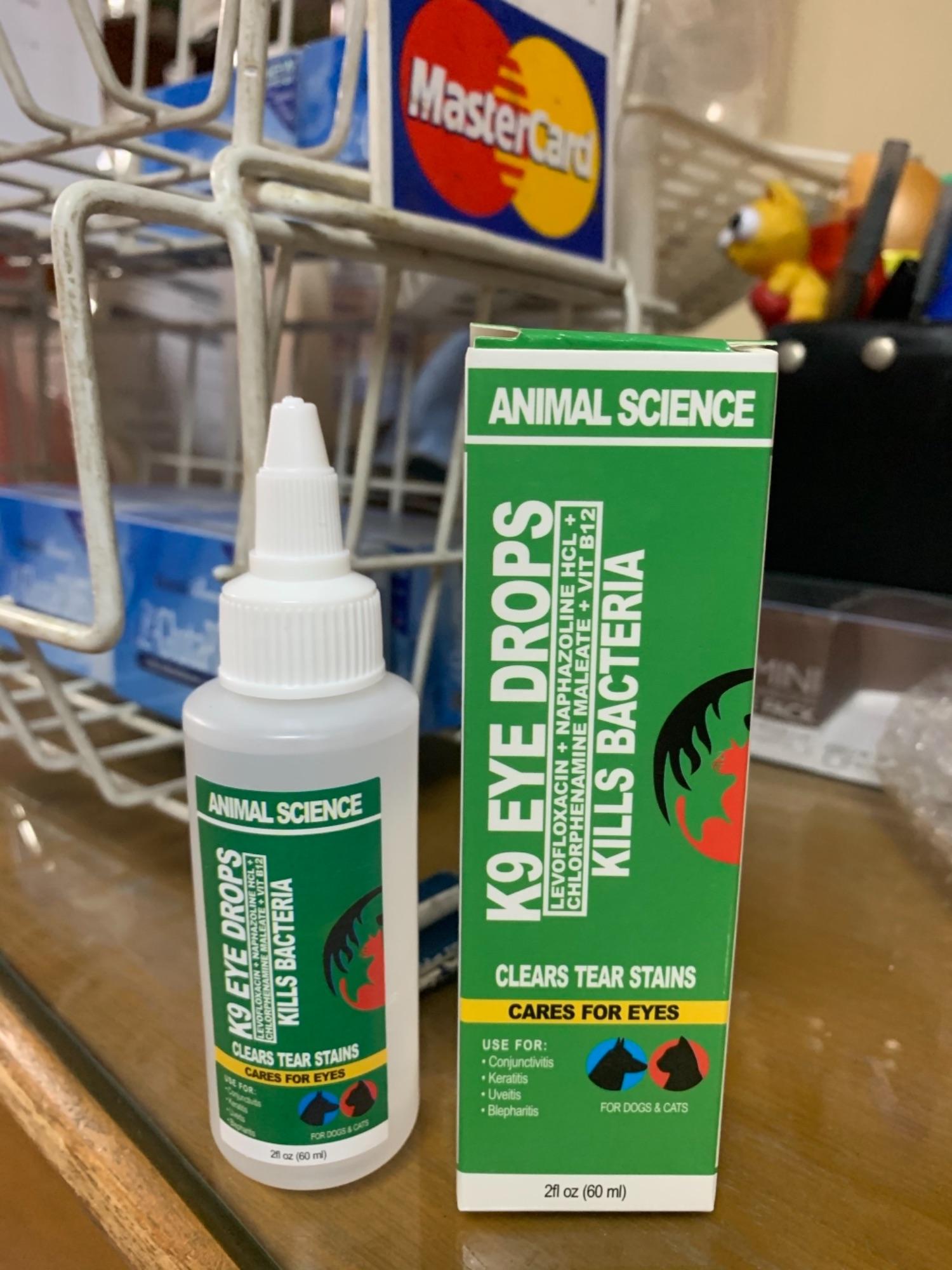 indoor dog digging box