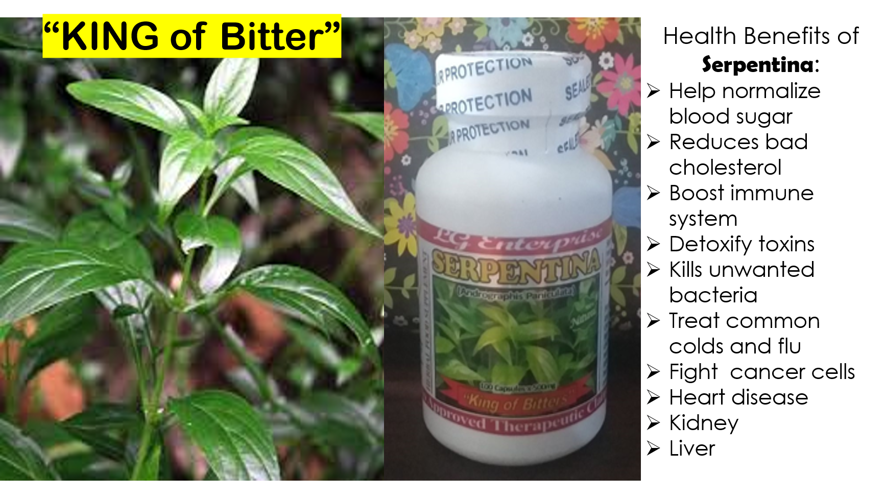 SERPENTINA Herbal Supplement 100 Capsule Lazada PH