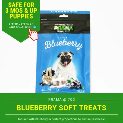 Prama Blueberry Delicacy Snack Made with Fresh Chicken Meat for Puppies and Adult Dogs (70g)