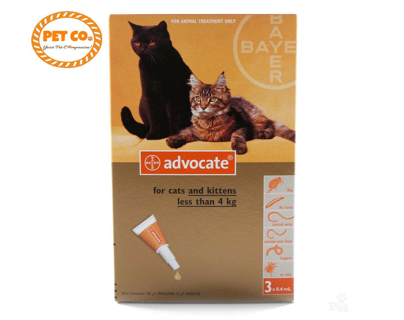 Flea Treatment for Cats for sale Tick Cure for Cats online brands
