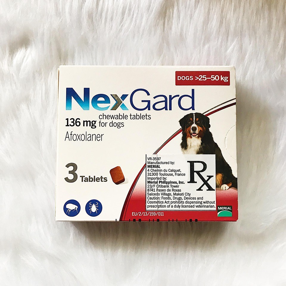 NEXGARD FOR DOGS 25 TO 50 Lazada PH