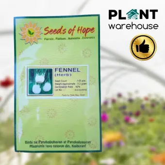 Plant Warehouse Ph Seeds Of Hope Fennel Herb Mansanilya Vegetable Seeds 20 Seeds Pack For Urban Home Farming Gardening Lazada Ph