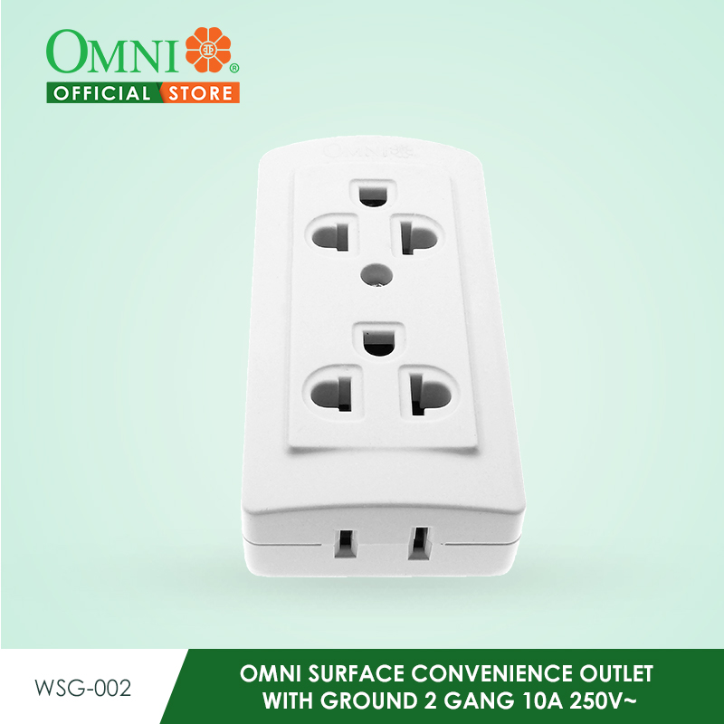 Omni Surface Convenience Outlet With Ground 2 Gang 10a 250v~ Wsg 002 Lazada Ph 7962