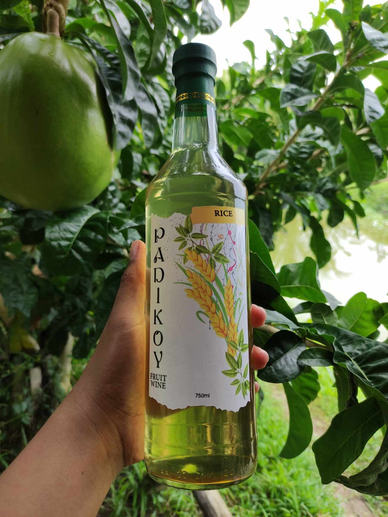 Rice Wine Padikoy Fruit Wine/ Lazada PH