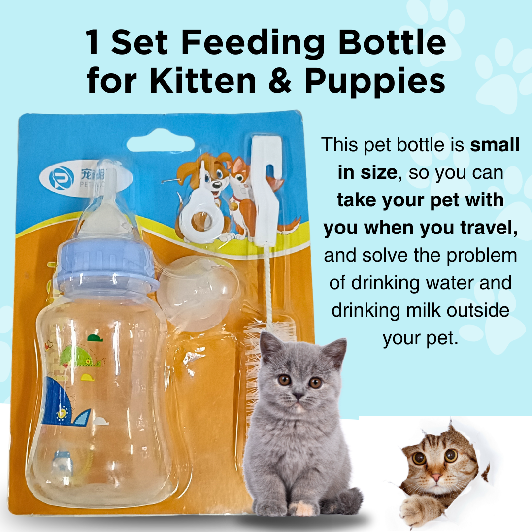 Schedule How Often To Feed Newborn Kittens Month Old When To Feed