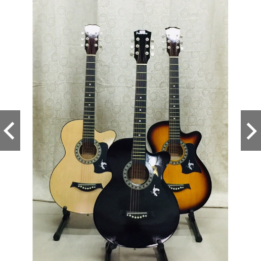 Premier guitar store price