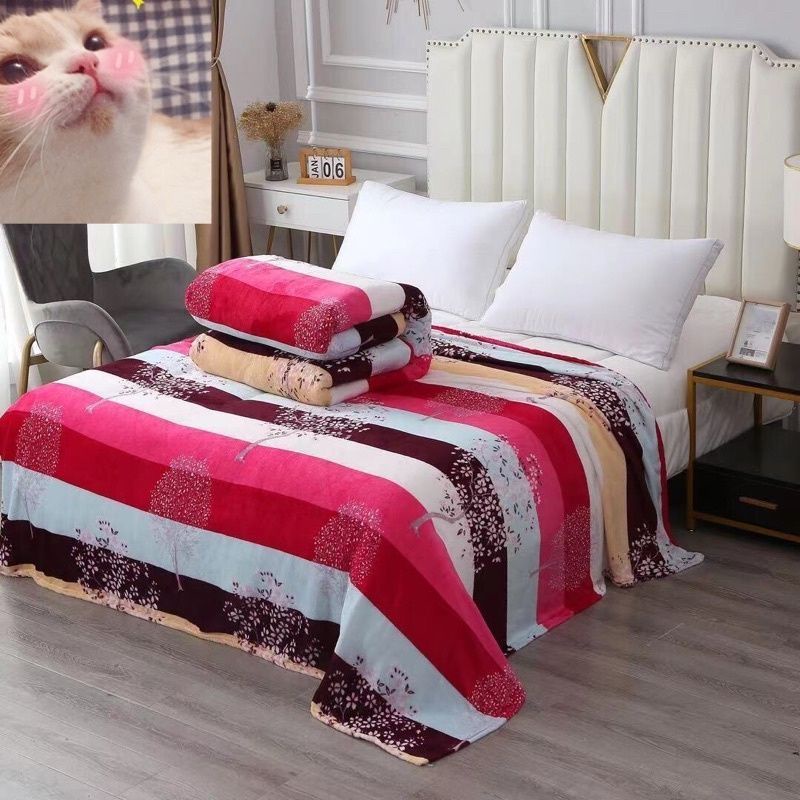 Double Size Blanket Microfiber Any Design Lazada PH