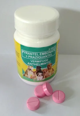 VERMIFUGE ANTHELMINTIC (Pyrantel Embonate + Praziquantel) (1 tablet only)