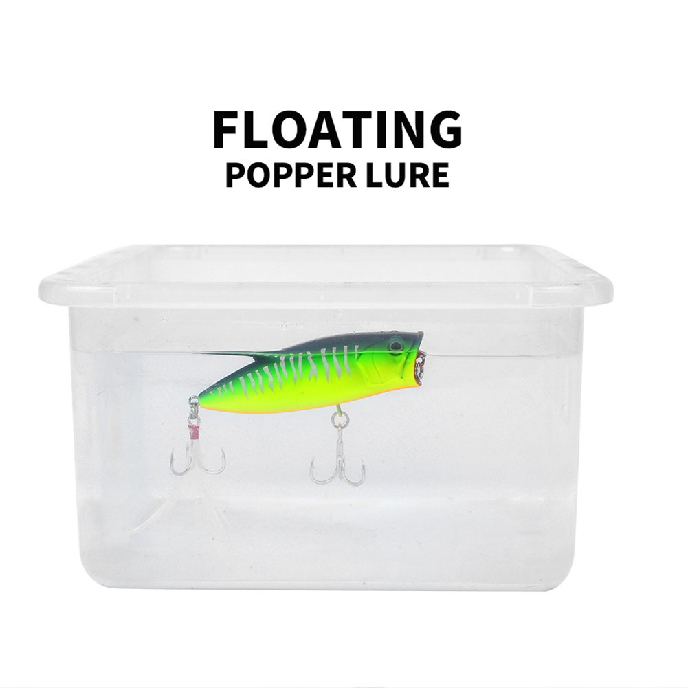 7.5cm 19g Hard Popper Fishing Lure with Feather - China Popper