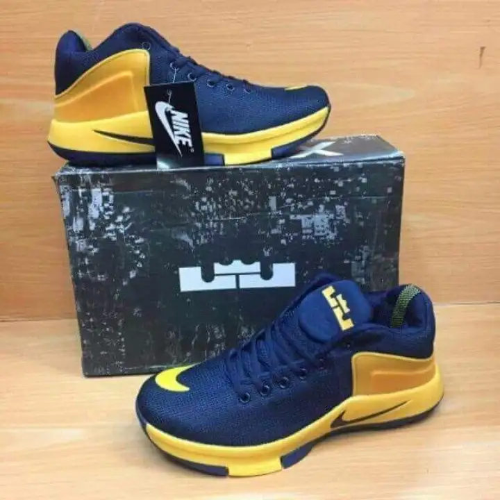 lebron james blue and yellow shoes