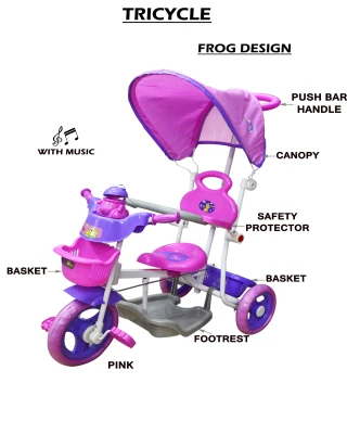MoonBaby MB3105GP Tricycle with Music & Canopy