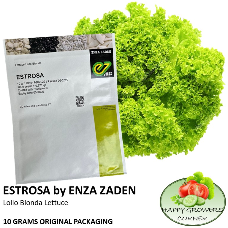 Estrosa Lollo Bionda Lettuce Raw Seeds By Enza Zaden 10 Grams 10000 Seeds Original Packaging 3825