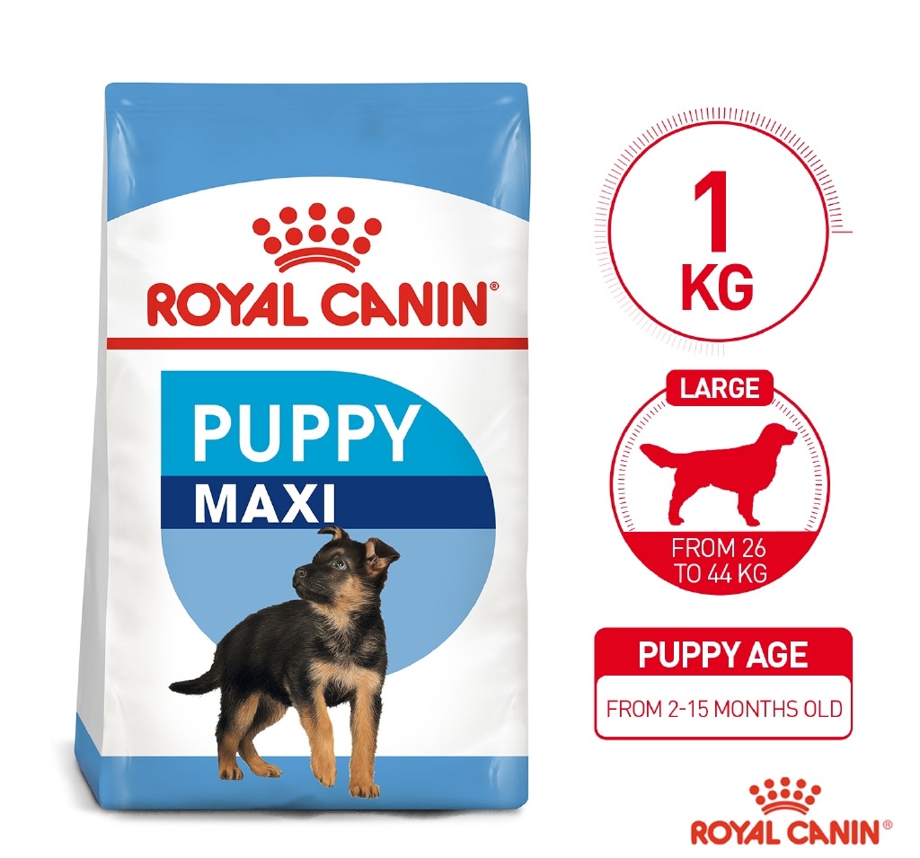 royal canin maxi junior 1kg