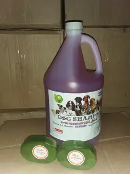 pocket puggles for sale