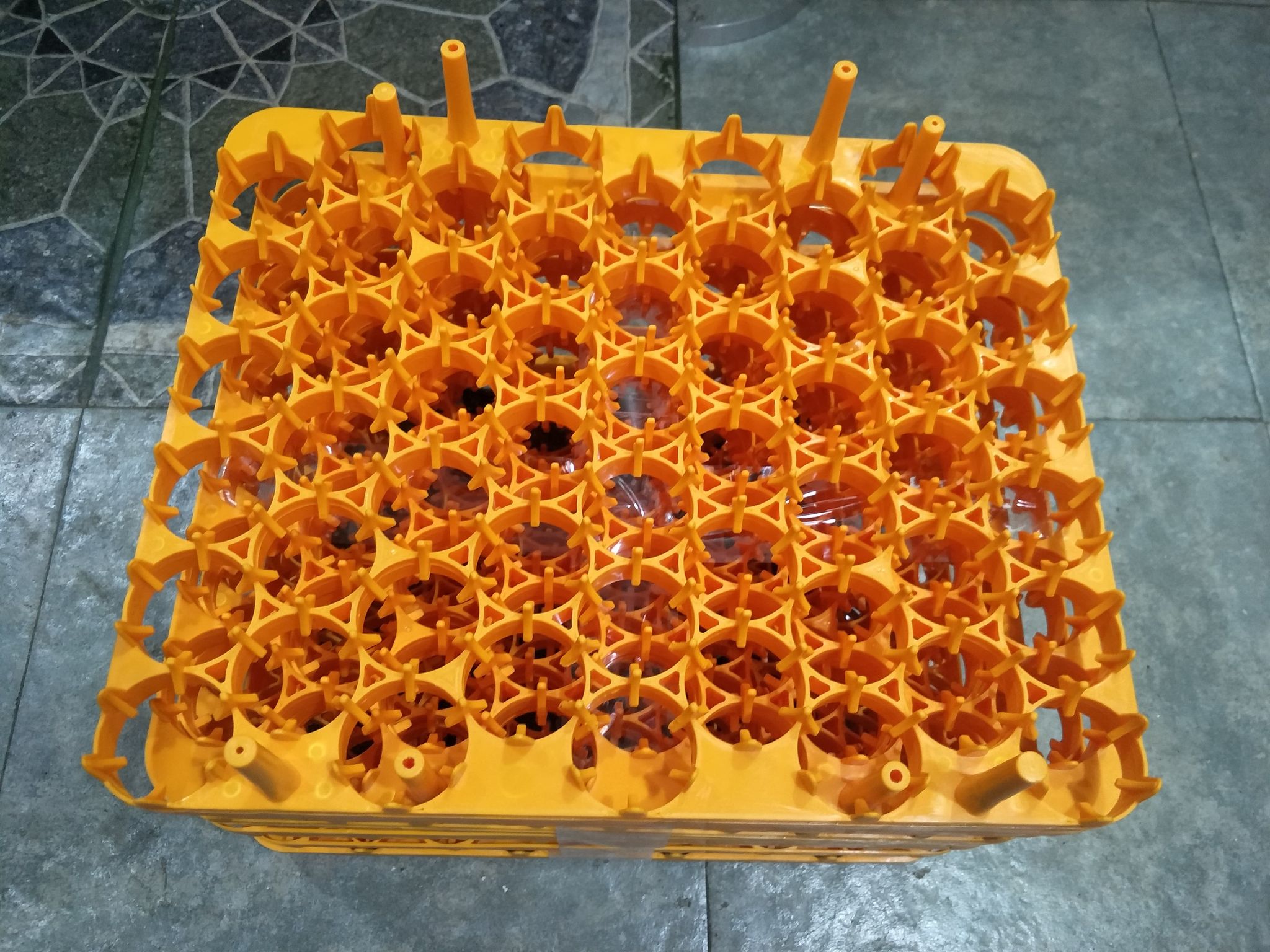 2pcs Egg tray for incubator (54 eggs) Lazada PH