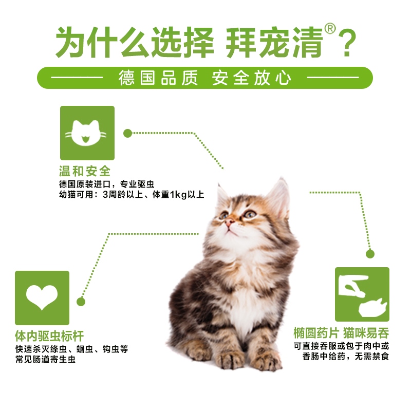 German Bayer cat deworming insect repellent inside and outside the body