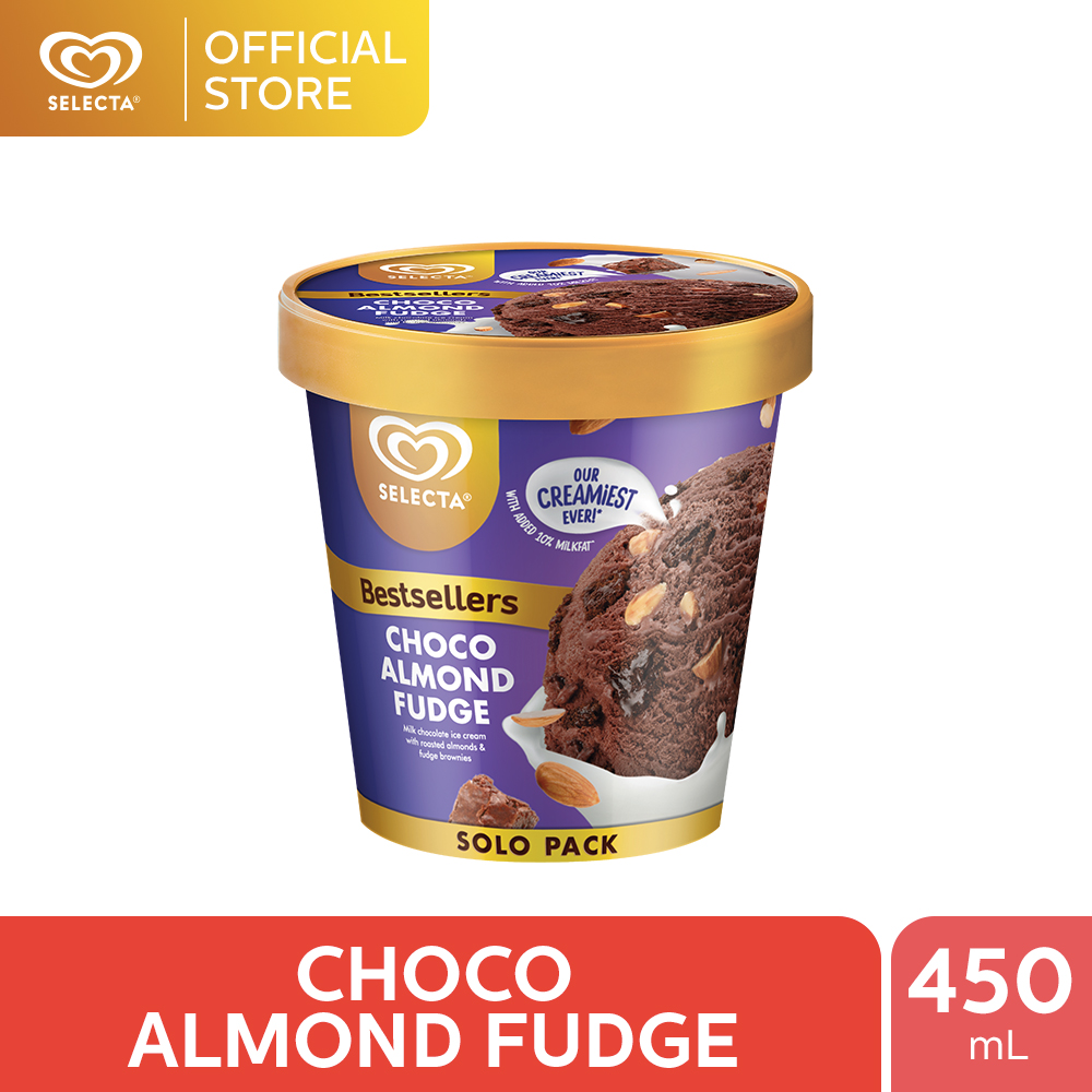 Selecta Choco Almond Fudge Ice Cream 450mL Lazada PH