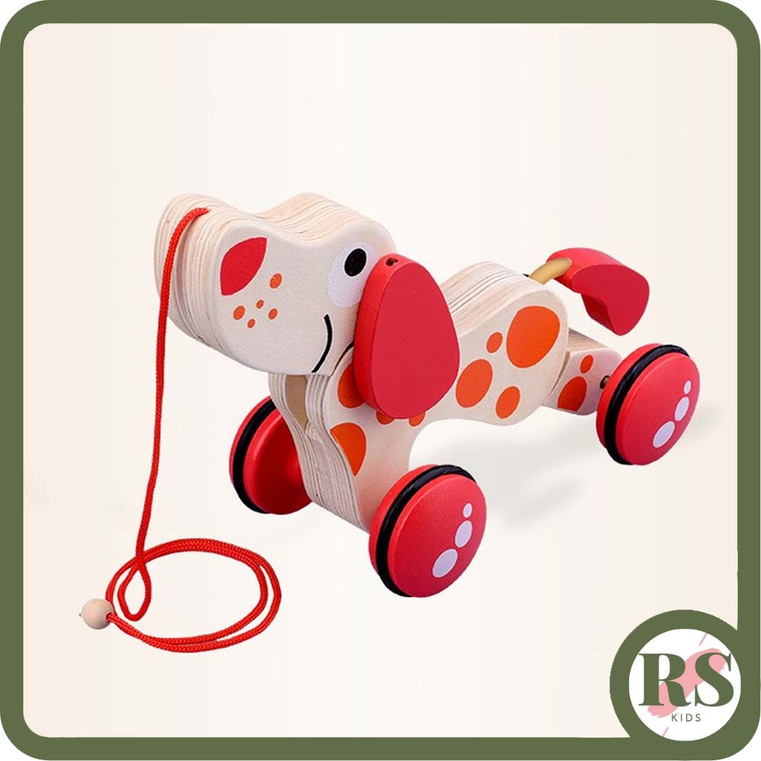 Giggles Kid Funskool - 2 In 1 Colourful Animal Pull Along Toy Train, Walking, Shape Sorting, Pretend Play Preschool Toys, Multicolour, 12 Months & Above