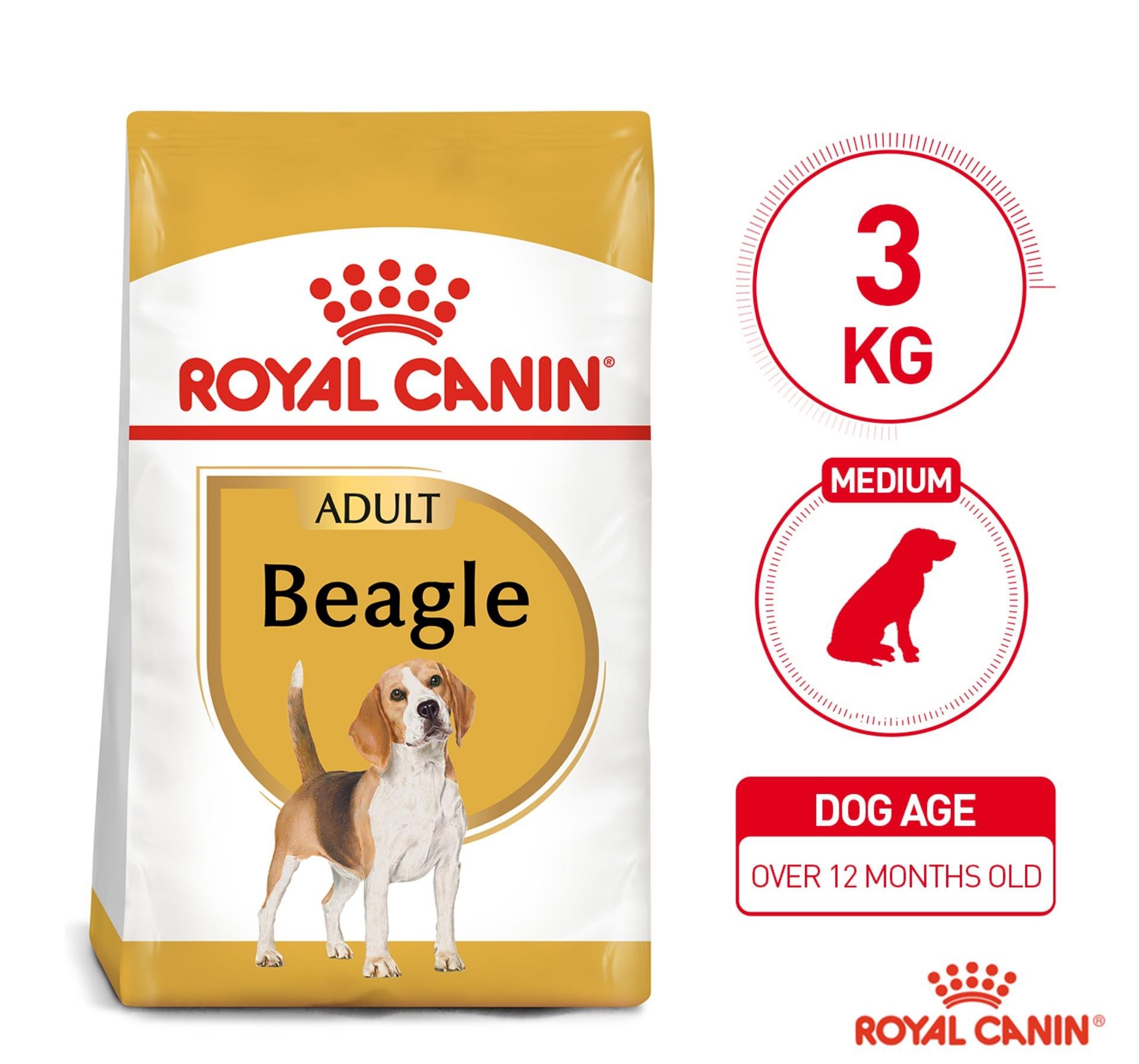 royal canin for beagle