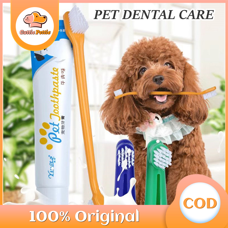 Are Cat Or Dog Mouths Cleaner