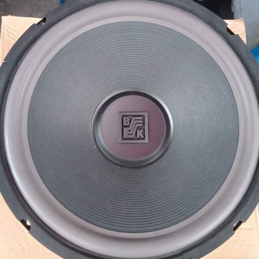 speaker ads 10 inch full range