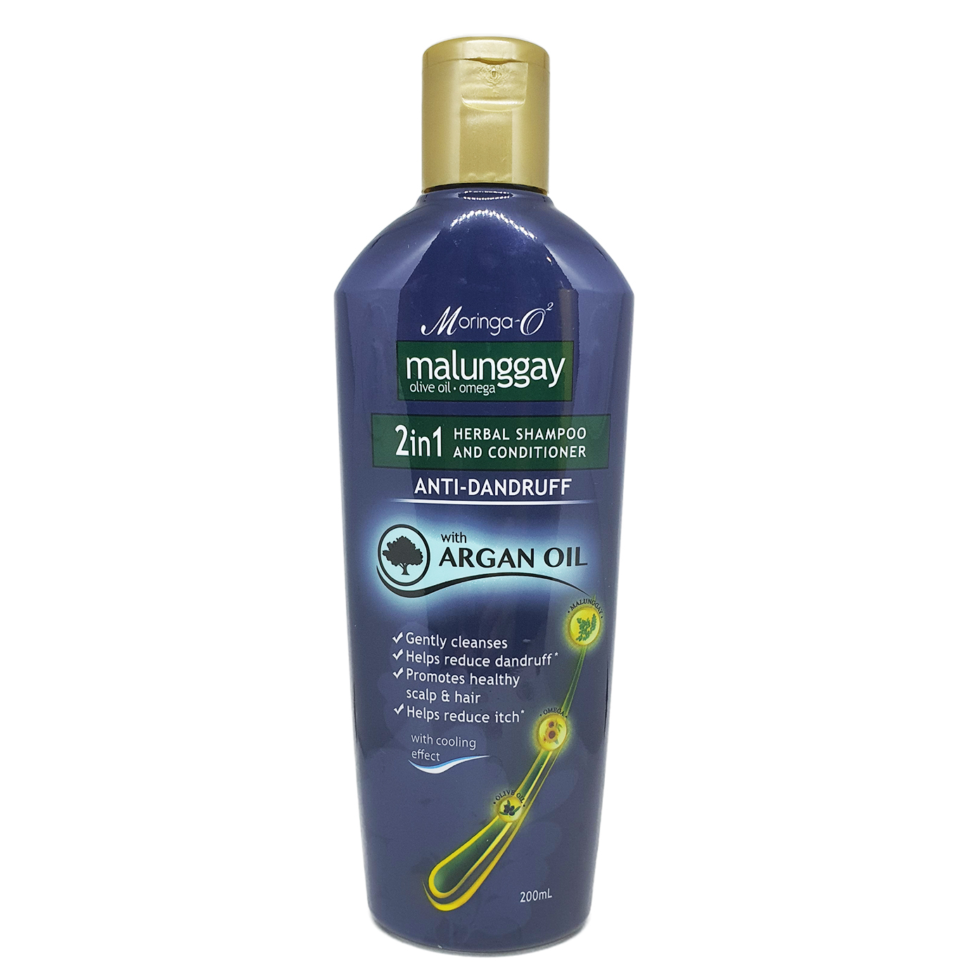 Moringa shampoo deals