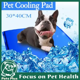 keep cool dog bed