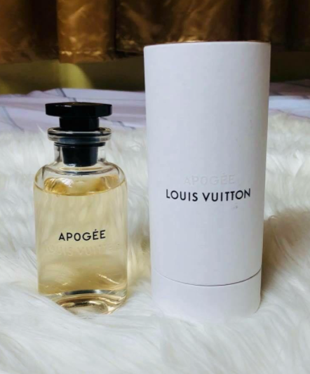 LOUIS VUITTON APOGEE – Rich and Luxe
