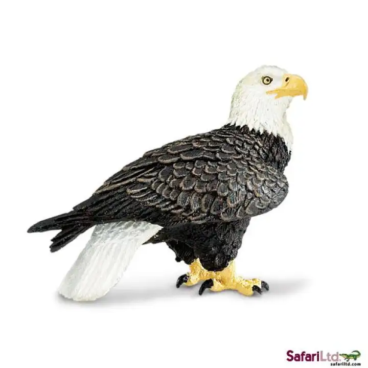 Amerika Serikat Safari Miniatur Hewan Model Kecil Botak Elang Kecil Bald Eagle Burung Elang Ce Mainan Anak Ornamen Lazada Indonesia