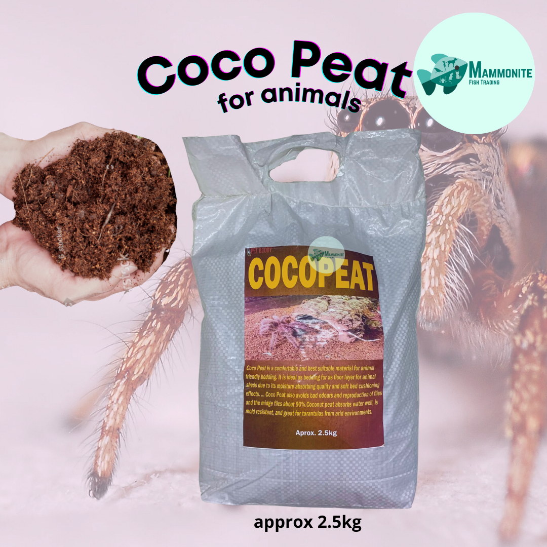 Pet Buddy HighQuality Coco Peat 2.5kg Sack Bedding Cocopeat Lazada PH