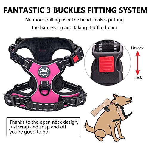 poypet dog harness