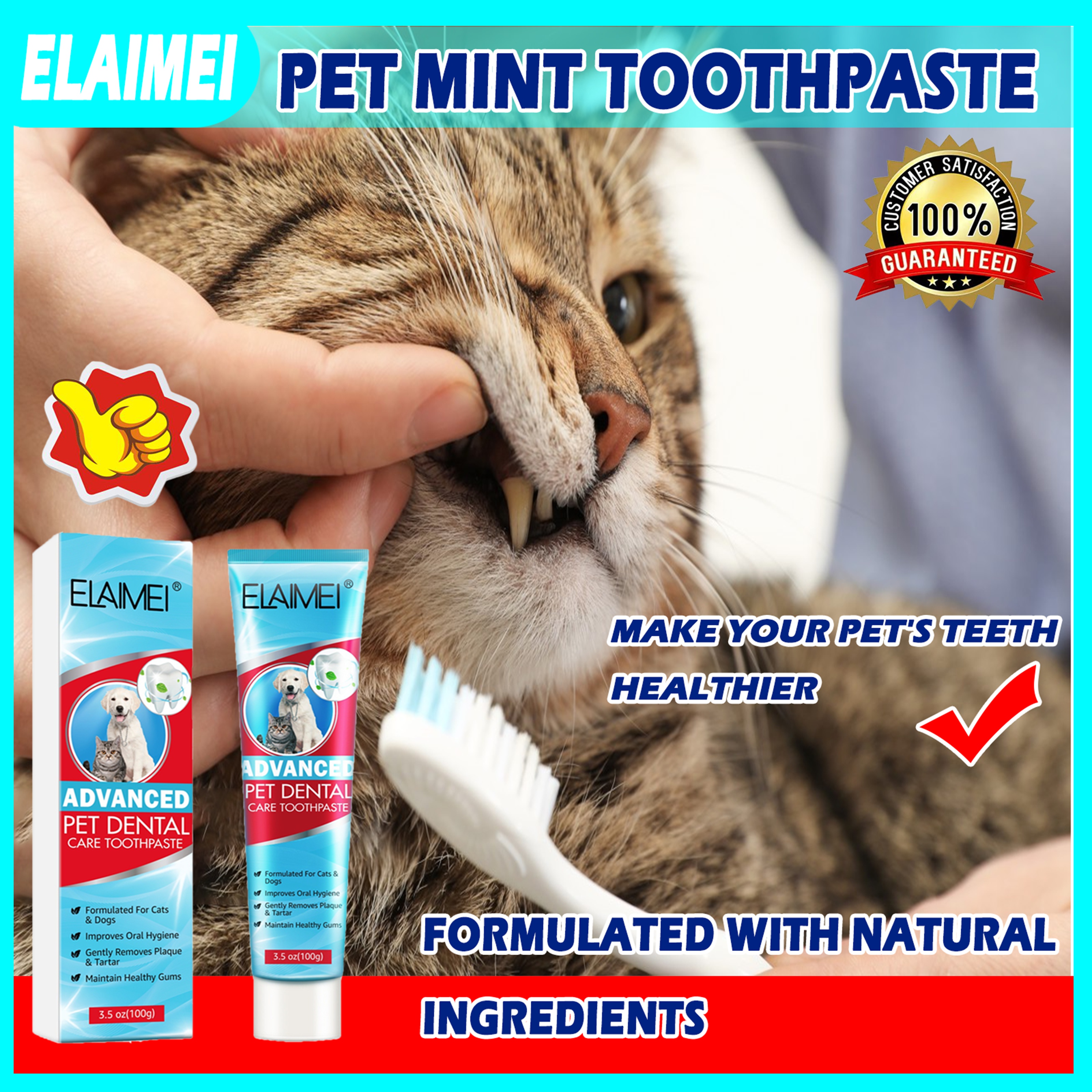 Is Toothpaste Bad For Dogs