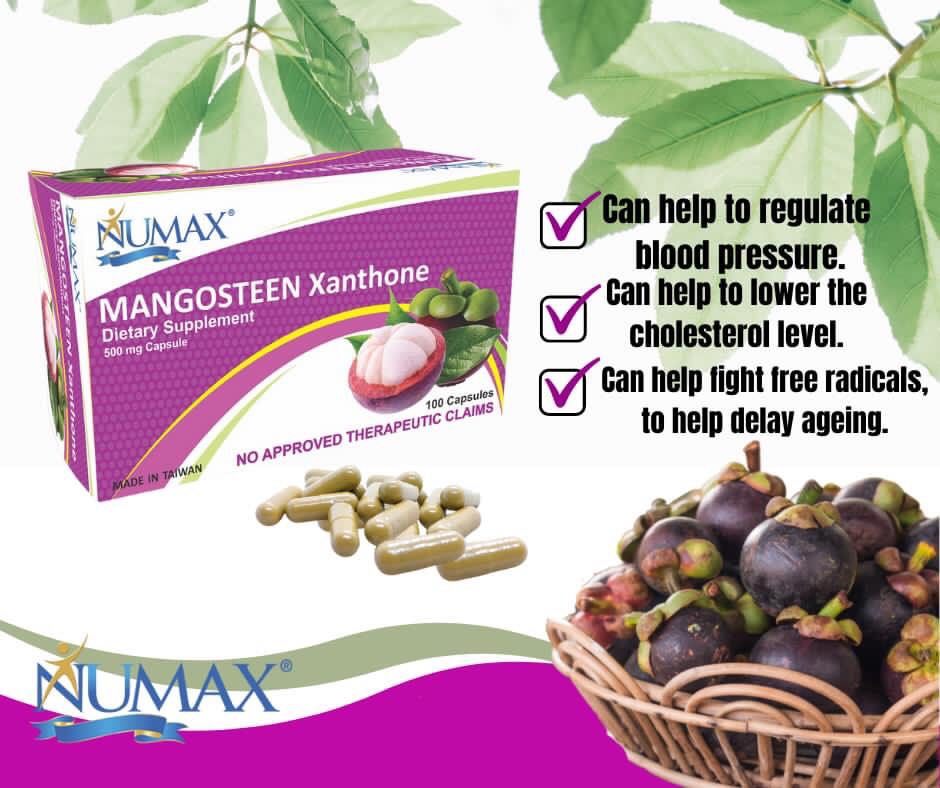 Numax Mangosteen Xanthone 500mg Capsule Lazada PH